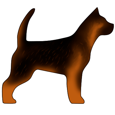 Черный соболь, рыжий подпал, маска (зонарный) 