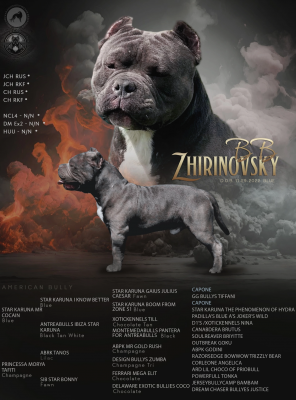 Жириновский