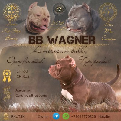BB WAGNER