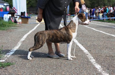 UNIGO N.E.V. KIMIKO