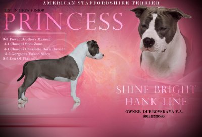 SHINE BRIGHT HANK LINE
