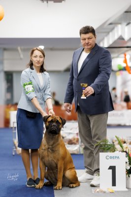 Леди Дагмар Аврора