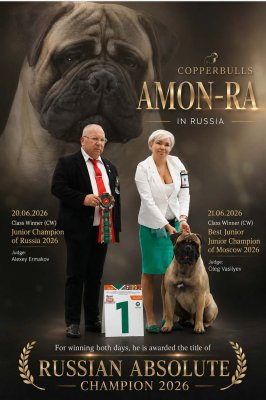 Amon Ra