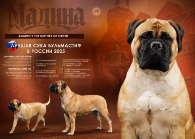 Малина