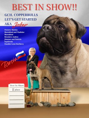 Джокер