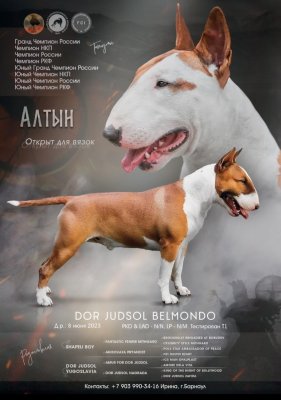 Дор Юдсол Бельмондо