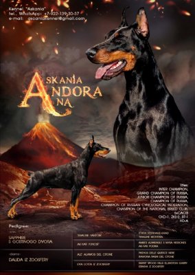 Askania Andora Ana