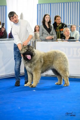 НАГАЙНА ИЗ ЯР ГРАДА