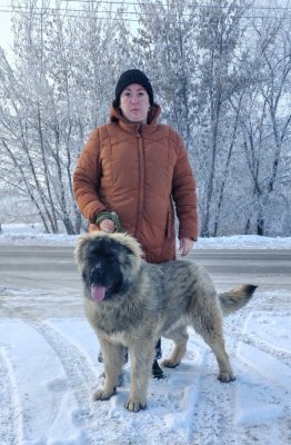 НОРД ИЗ ЯР ГРАДА