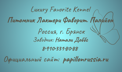 Luxury Favorite
