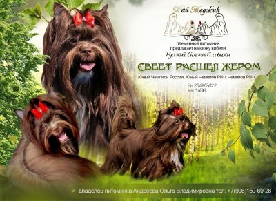 Свеет Расшел Жером
