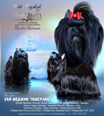 Хай Меджик Тамерлан