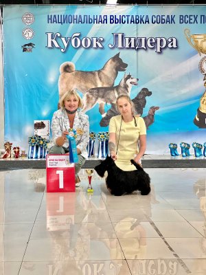 Мечта Юлии Дайкири