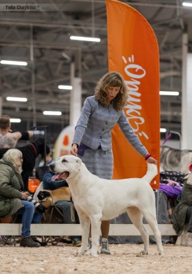 ЮЛГИЗ ШЕКСНА