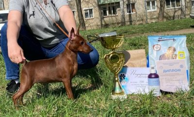 Волшебная Мечта Рапсодия
