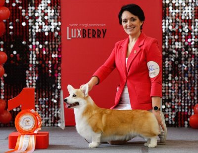 LUXBERRY CELINE DELBARD