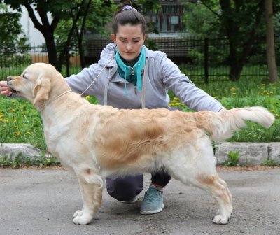 Камелия 2 из Соколиного Гнезда