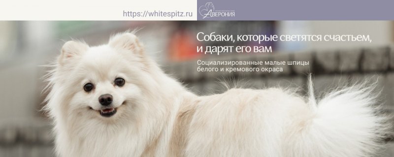 Питомник Аверония