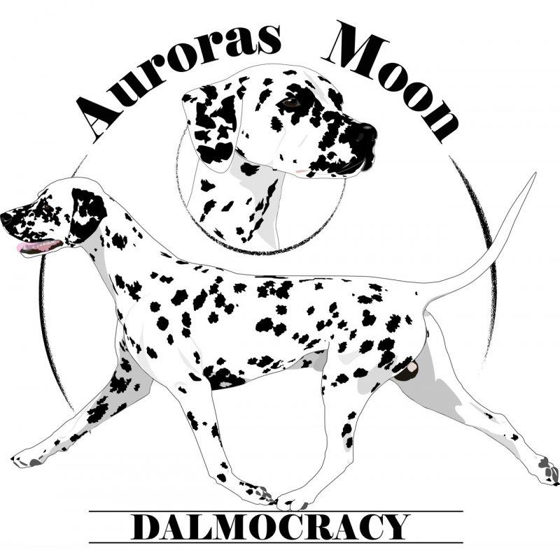 Питомник Аврорас Мун