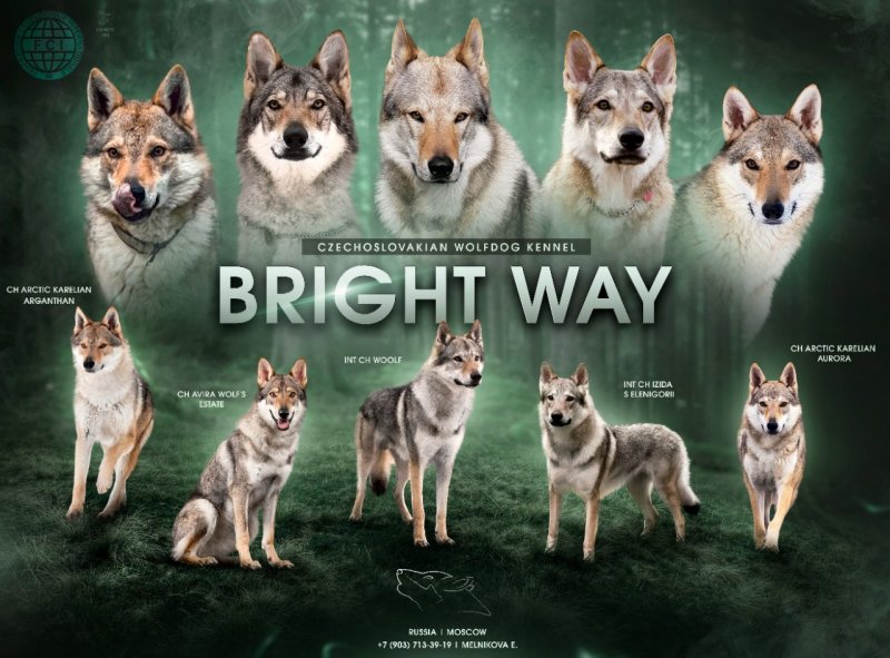 Питомник Bright Way