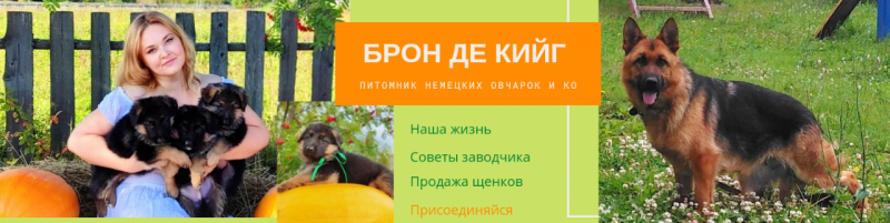 Питомник Брон Де Кийг