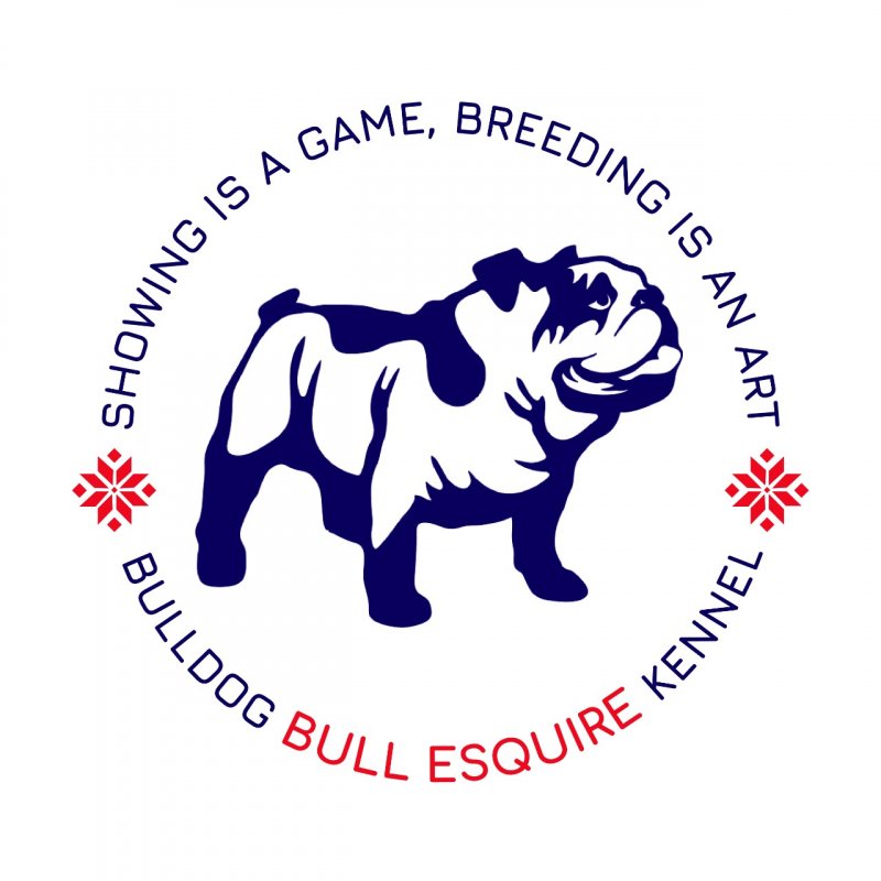 Питомник Bull Esquire