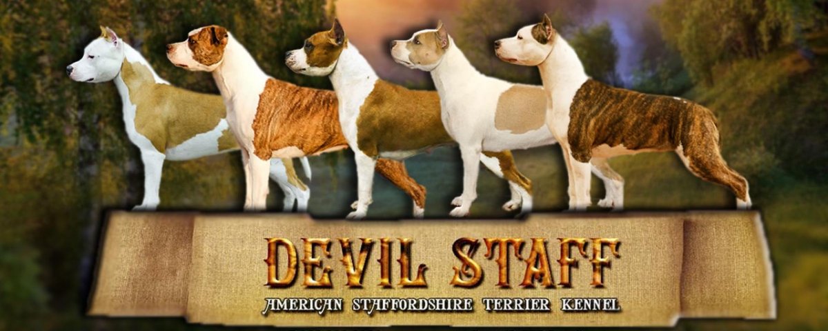 Питомник Devil Staff