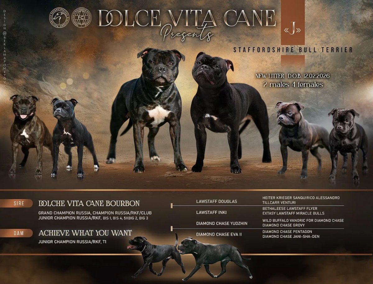 Питомник Dolche Vita Cane
