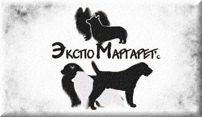 Питомник Экспо Маргарет'c