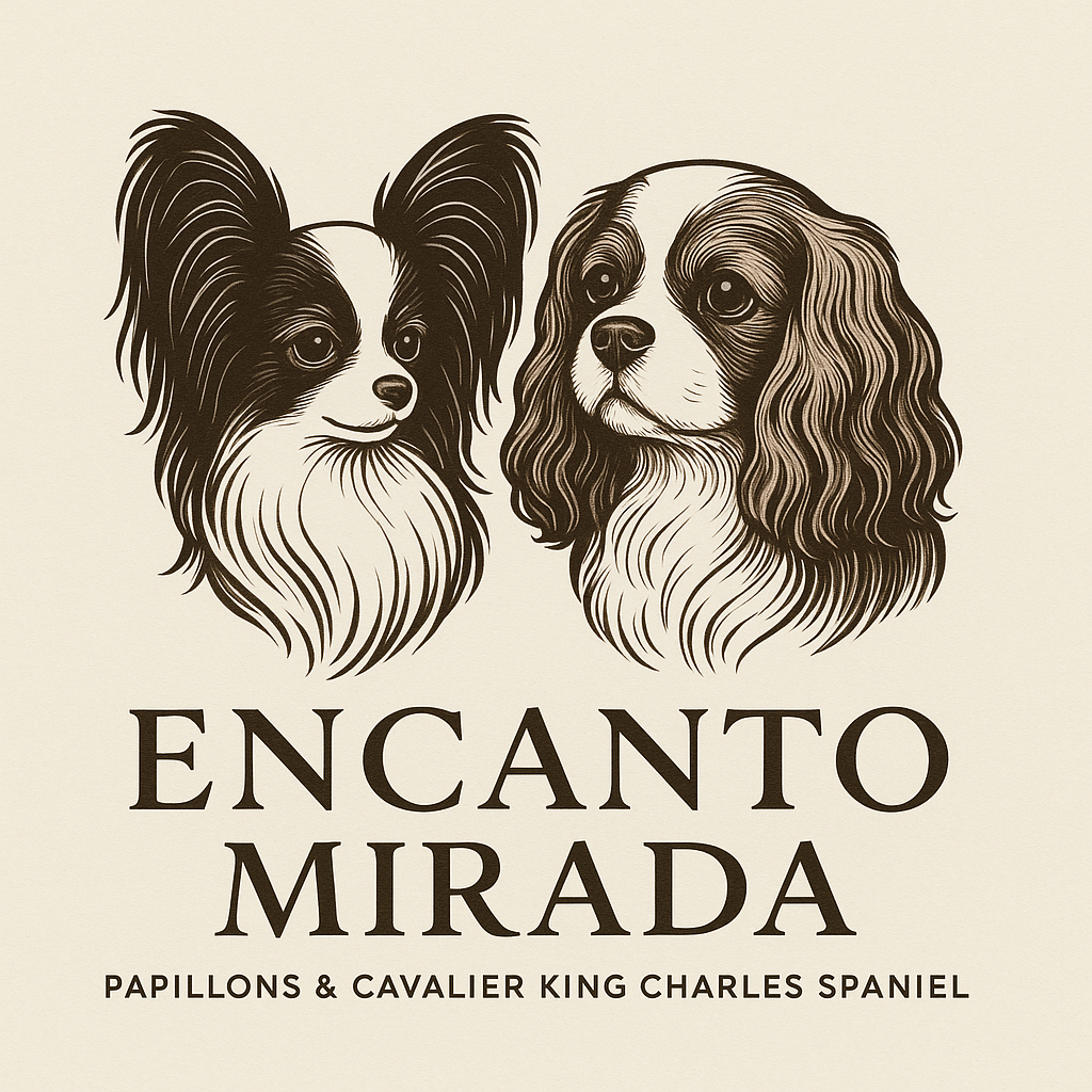 Питомник Encanto Mirada