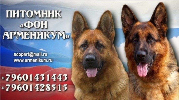 Питомник Фон Арменикум