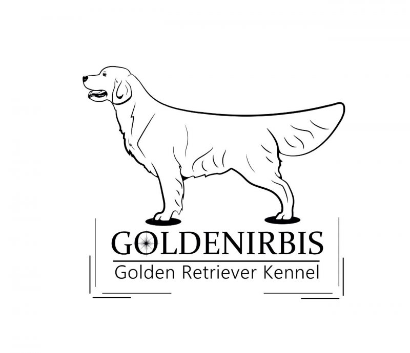 Питомник Goldenirbis