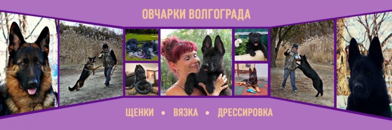 Питомник Ип Акулич В.в.