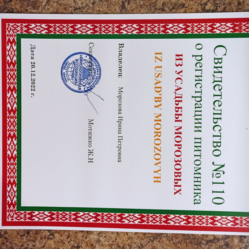 Питомник Ирина
