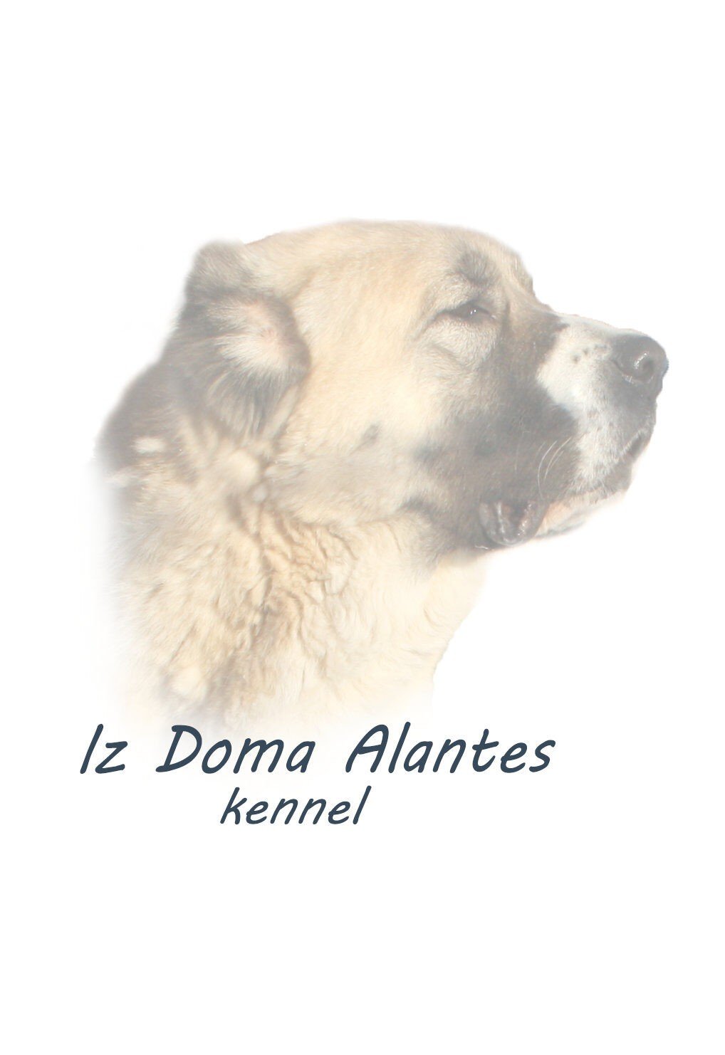 Питомник Is Doma Alantes