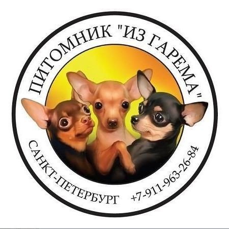 Питомник Из Гарема