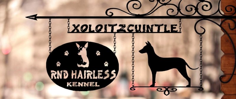Питомник Rnd Hairless