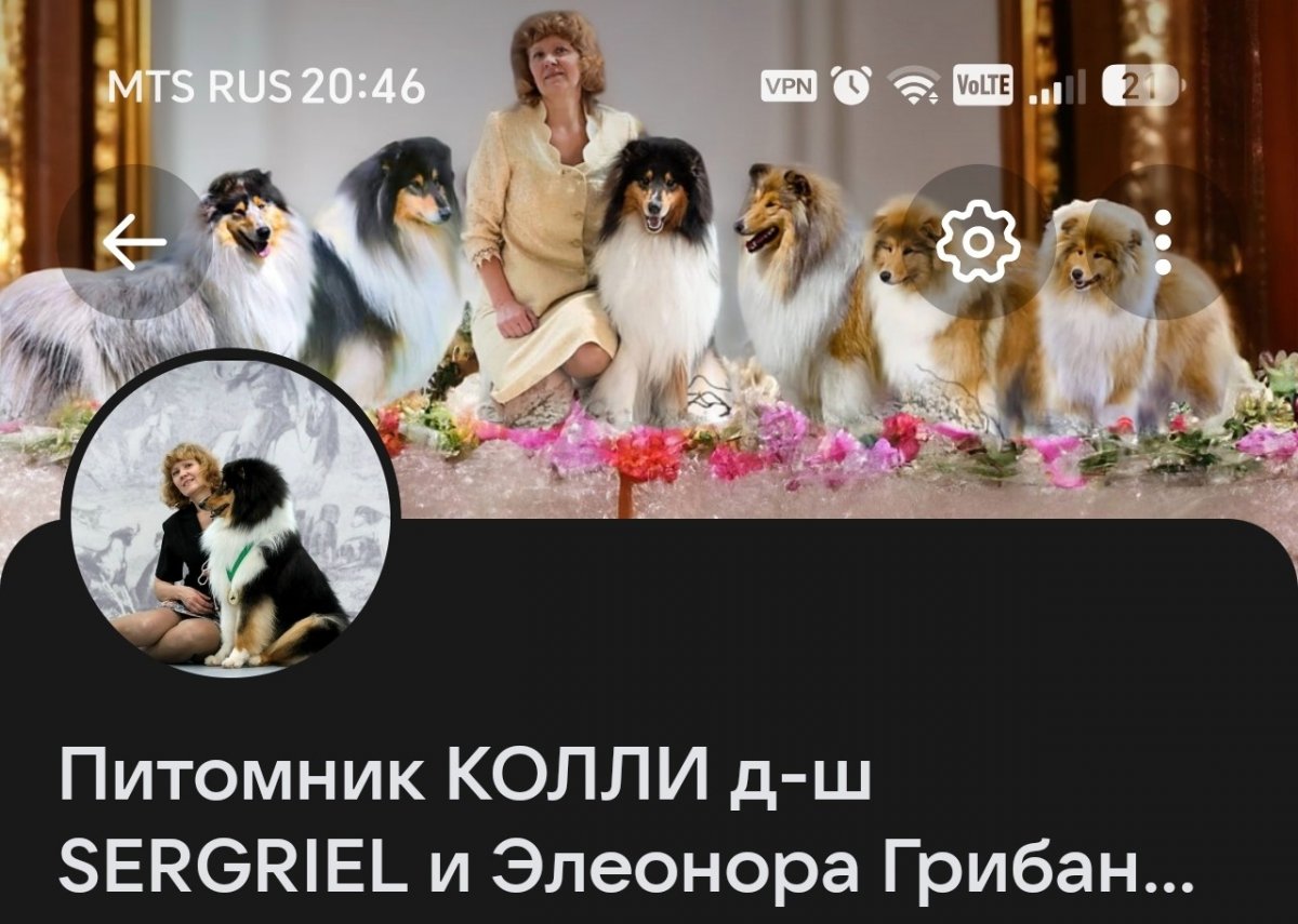 Питомник Sergriel