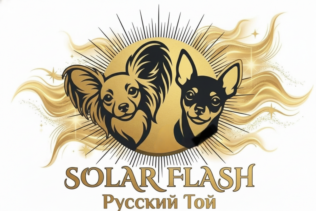 Питомник Solar Flash