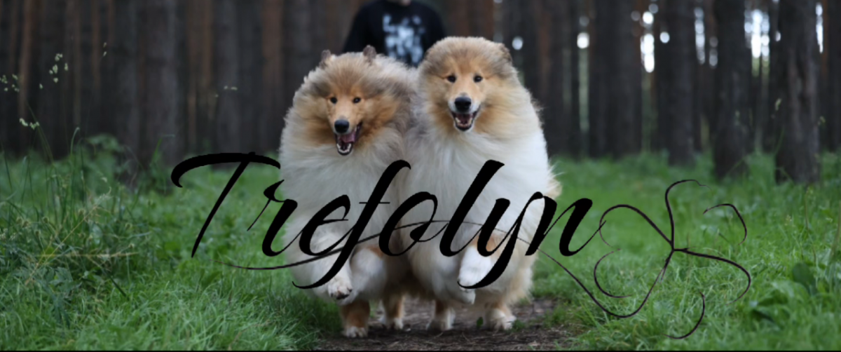 Питомник Trefolyn