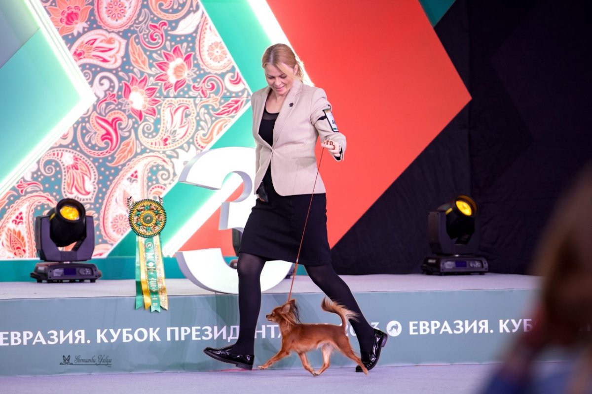 Питомник Золотой Запас
