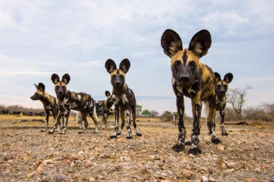  изображение к пост №10642 1