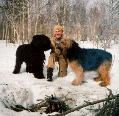  изображение к пост №10657 5