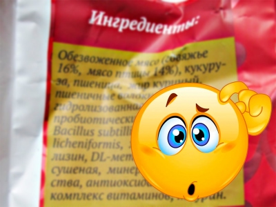  изображение к пост №10877 1