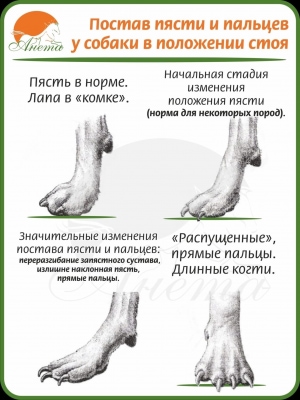  изображение к пост №11341 1