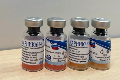  изображение к пост №11995 1