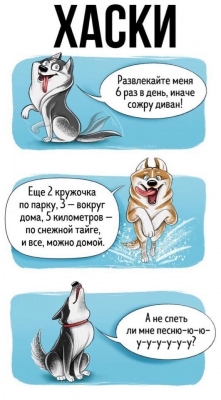  изображение к пост №12032 1