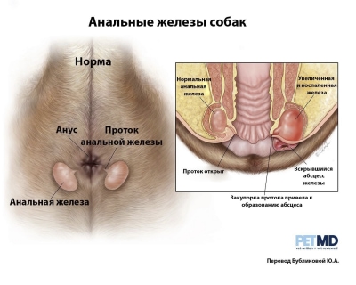  изображение к пост №12119 1