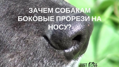  изображение к пост №12147 1