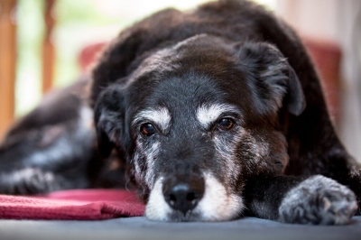  изображение к пост №12148 1